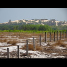 Sanddünen entlang der Küste